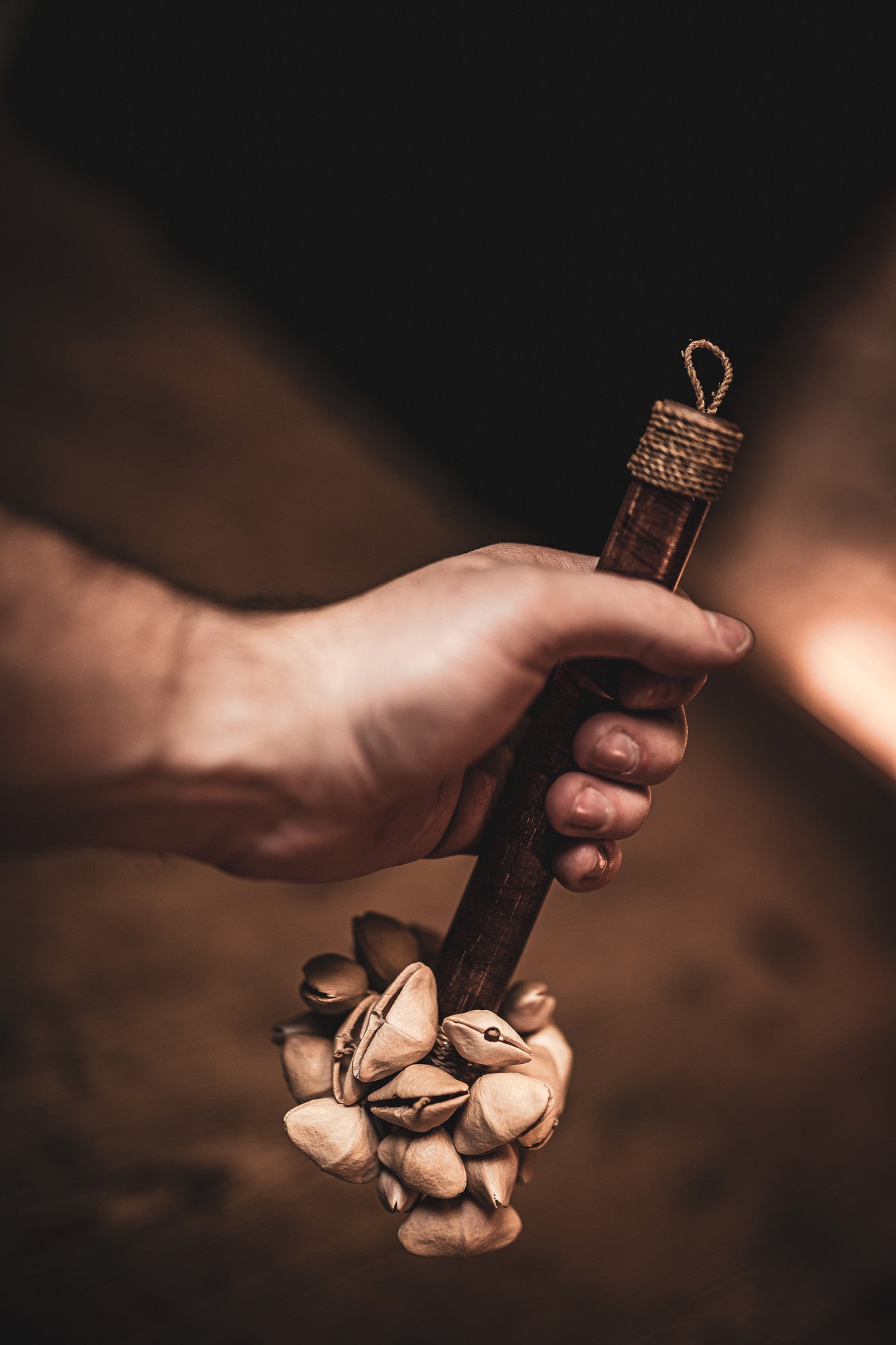 MEINL Sonic Energy Kenari Rod Shaker