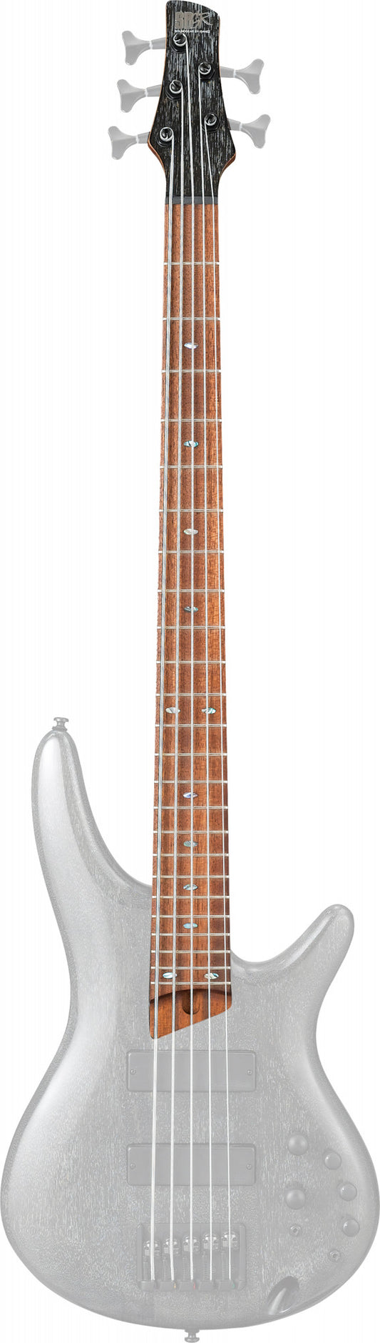 IBANEZ Hals für SR505E-TVB
