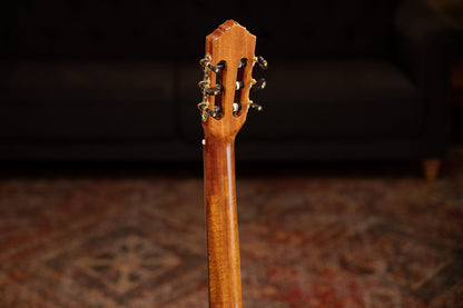 ORTEGA Family Series Pro 4/4 Konzertgitarre 6 String - Massive Fichte / Cypress Gloss Stain Yellow + Bag