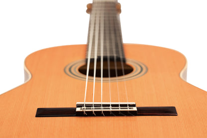 ORTEGA Traditional Series 4/4 Nylon String Guitar 6-String + Pro Gigbag