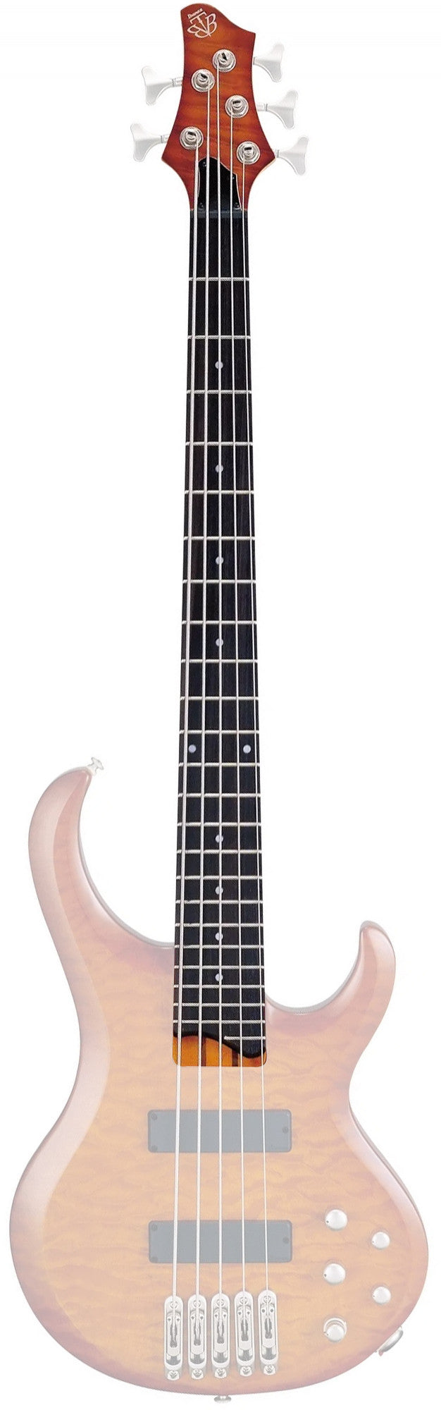 IBANEZ Neck - for BTB205TYF Bass