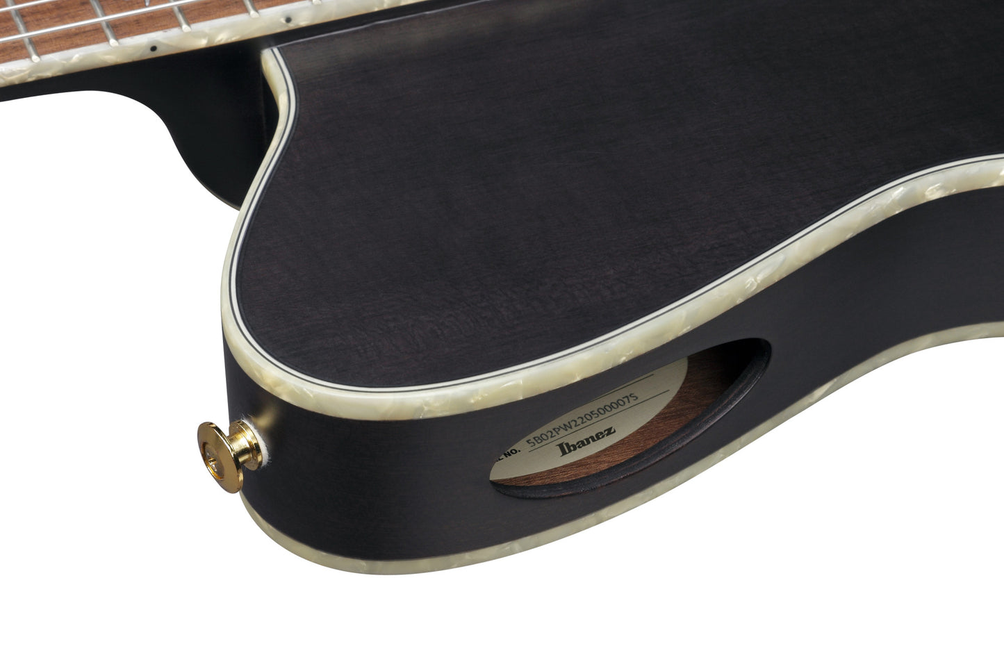 IBANEZ Tim Henson Signature Nylon String Guitar 6-String - Transparent Black Flat