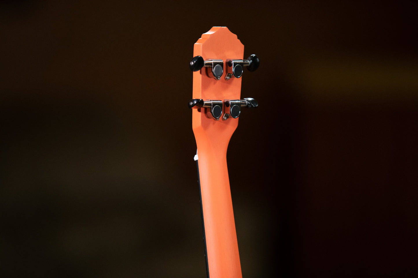 ORTEGA Earth Serie Konzert Ukulele 4 String - Hokkaido Pumpkin Orange