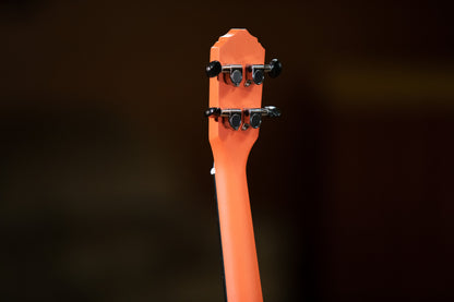 ORTEGA Earth Serie Konzert Ukulele 4 String - Hokkaido Pumpkin Orange