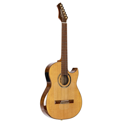 ORTEGA Ben Woods Signature Nylon String Gitarre 6-String + Ben Woods Gigbag