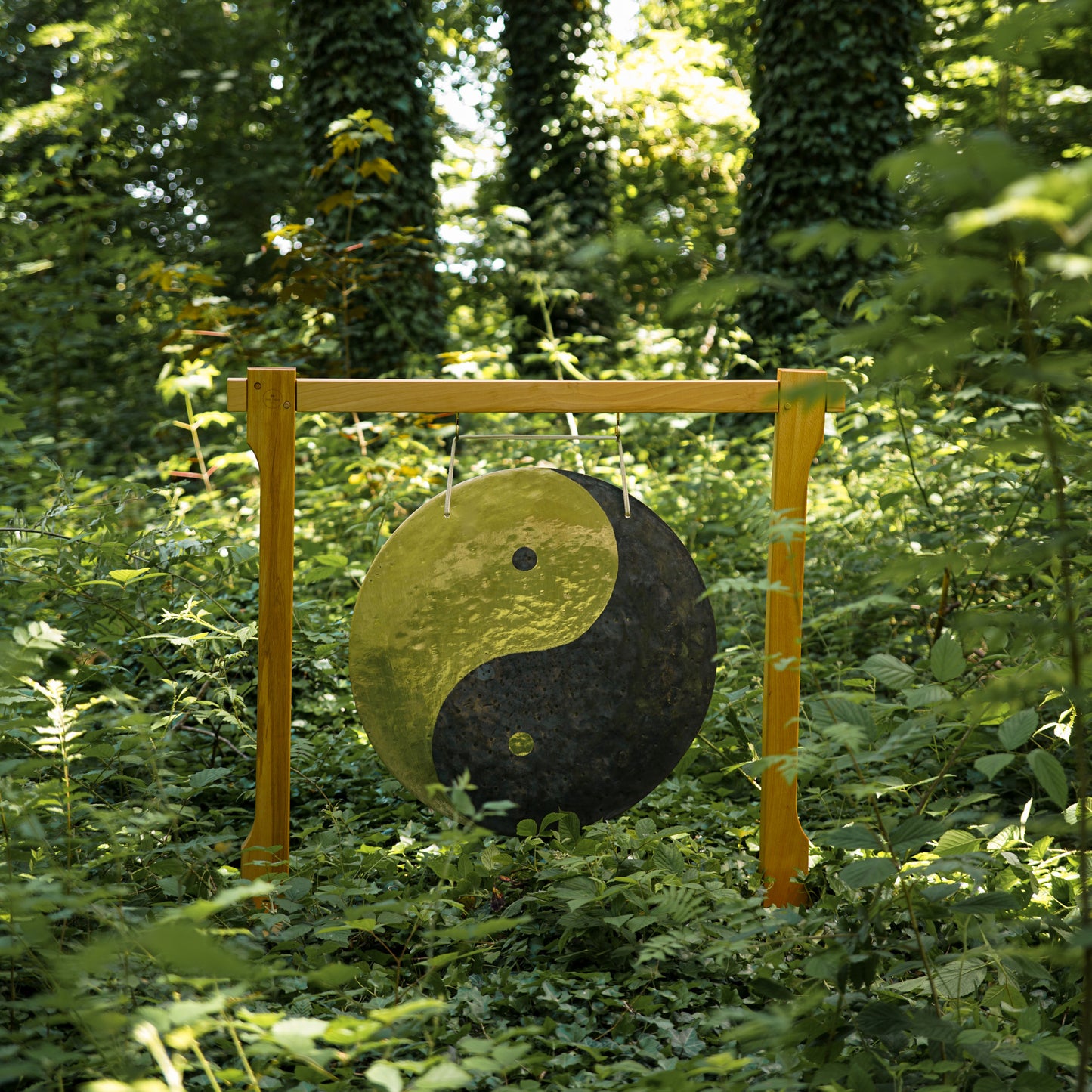 MEINL Sonic Energy Wind Gong - Yin & Yang - 28" + Beater & Cover