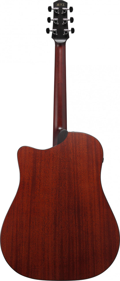 IBANEZ Platinum Collection Acoustic Guitar 6 String - Natural Low Gloss + Case