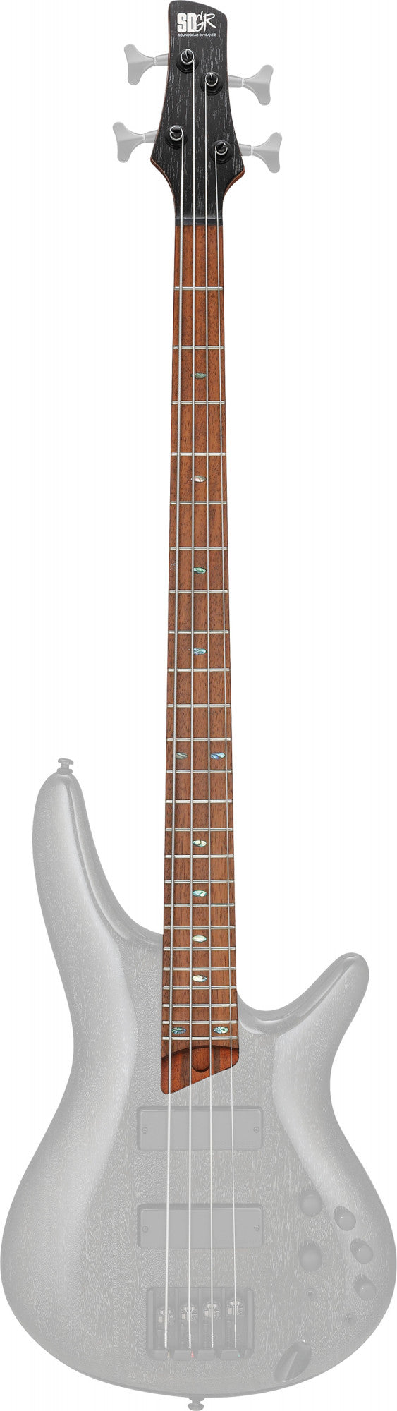 IBANEZ Hals für SR500E-TVB