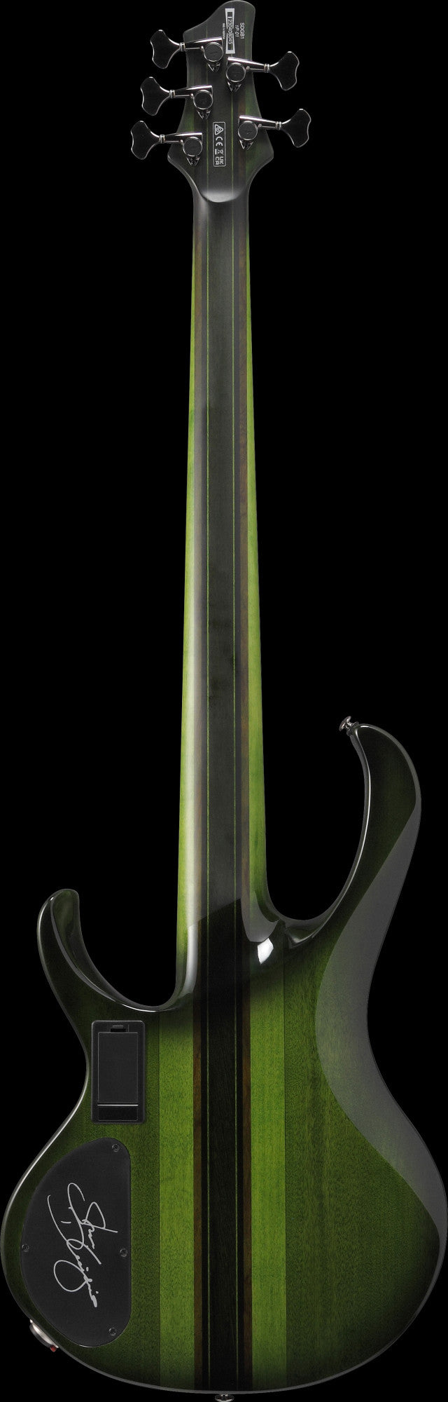IBANEZ Steve Di Giorgio Signature E-Bass 5-String Fretless - Dark Moss Burst
