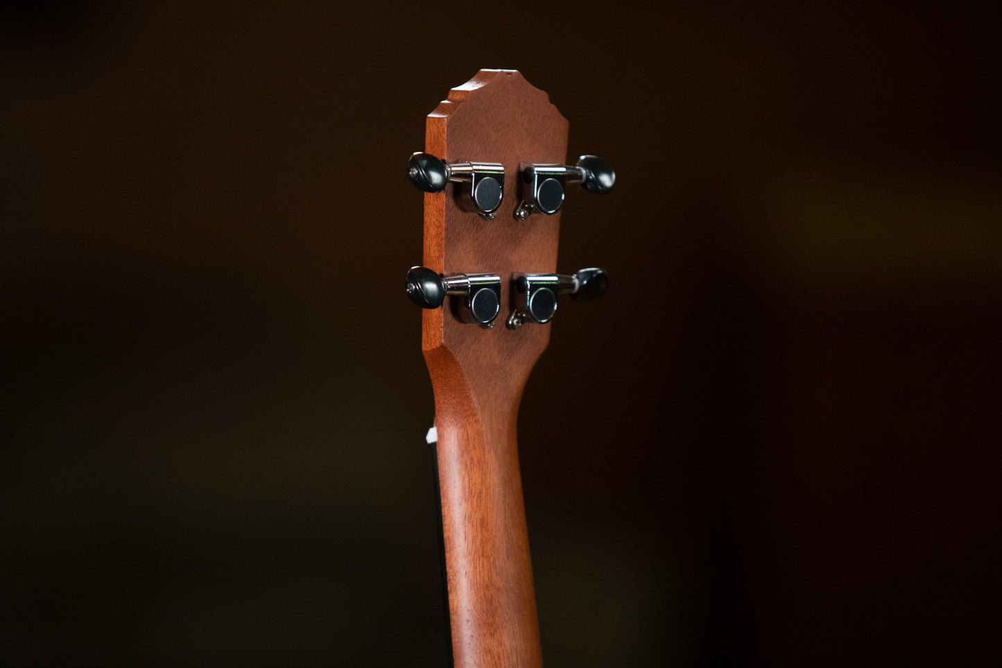 ORTEGA Bonfire Series Tenor Ukulele 4 String - Spruce/Sapele Natural
