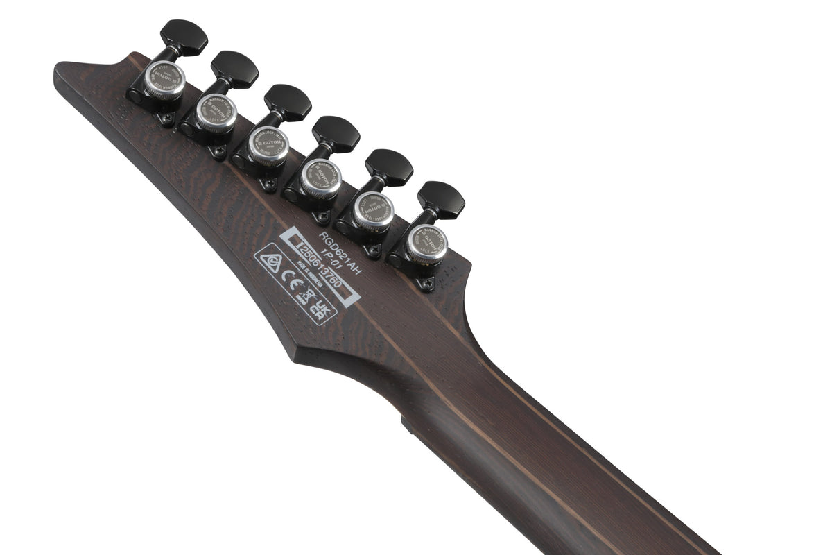IBANEZ RGD E-Gitarre 6-String - Midnight Shade Flat