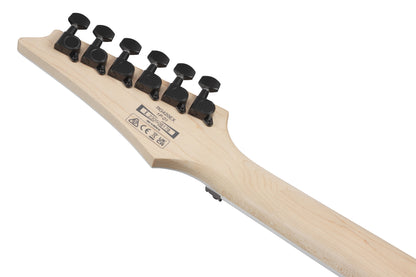 IBANEZ RG Electric Guitar 6-String - Black Flat