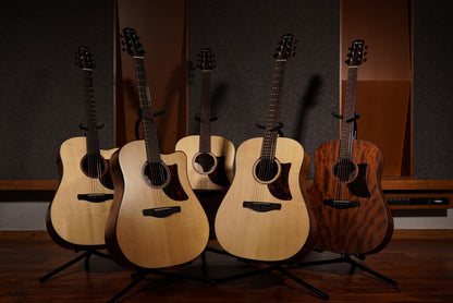 IBANEZ Advanced Acoustic AAD Akustikgitarre 6-String Lefty - Natural Low Gloss