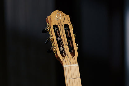 ORTEGA Thomas Zwijsen Signature Konzertgitarre 6-String + Softcase