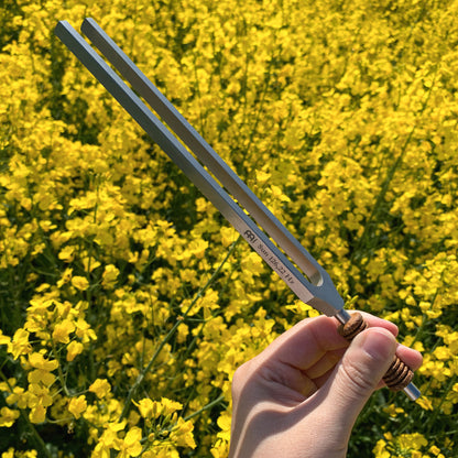 MEINL Sonic Energy Therapy Tuning Fork - Sun - 126.22 Hz