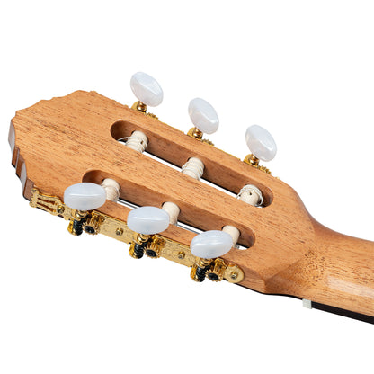 ORTEGA Traditional Series 4/4 Nylon String Guitar 6-String + Pro Gigbag