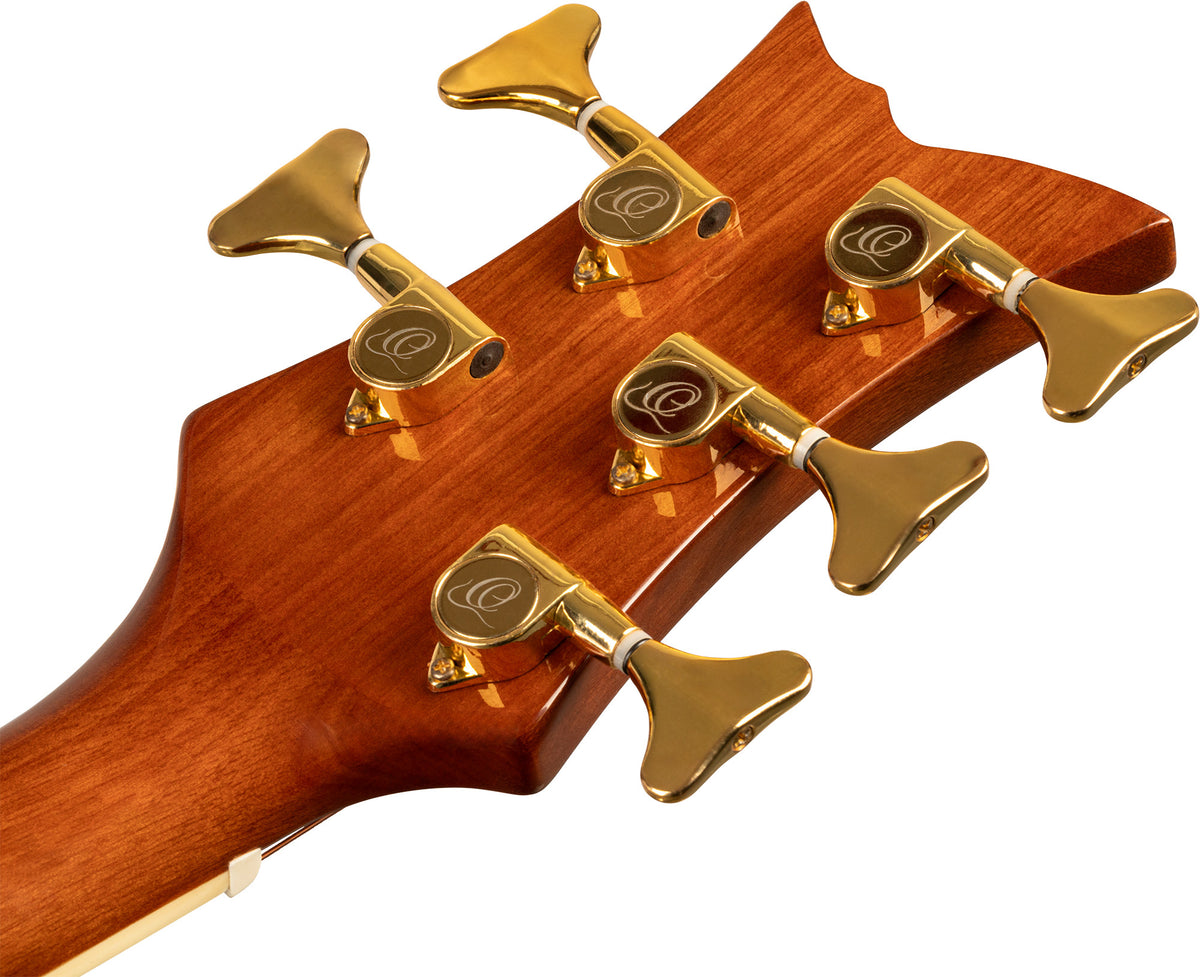 ORTEGA  Deep Series Akustik Bass 5-String Lefty - Medium Scale