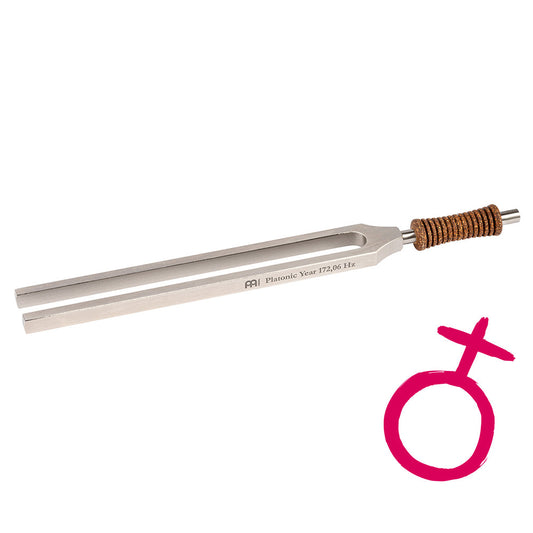 Meinl Sonic Energy Therapie Stimmgabel - Platonisches Jahr - 172.06 Hz