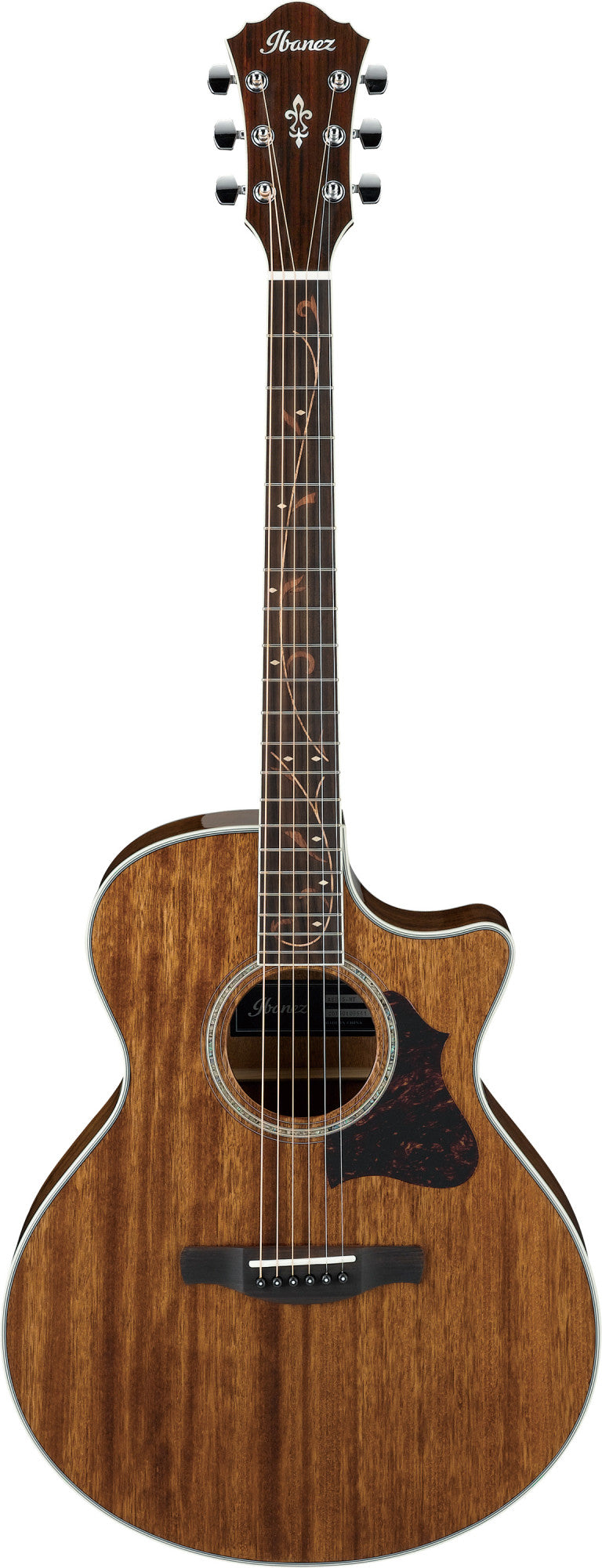 IBANEZ AE Akustikgitarre 6-String - Natural High Gloss
