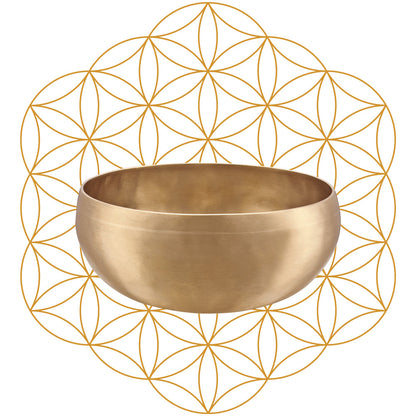 MEINL Sonic Energy Synthesis Series Flower of Life Singing Bowl - 1000g