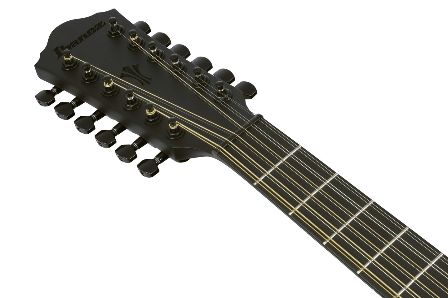 IBANEZ AEG Akustikgitarre 12-String - Black Out