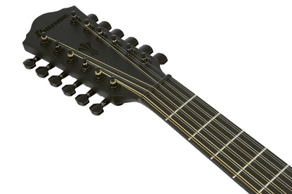 IBANEZ AEG Akustikgitarre 12-String - Black Out