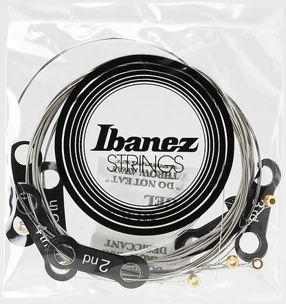 IBANEZ Saiten Set für 6 String E-Gitarre - Mikro Scale