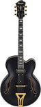 IBANEZ Pat Metheny Signature Hollow Body Guitar 6-String - Black Low Gloss + Case