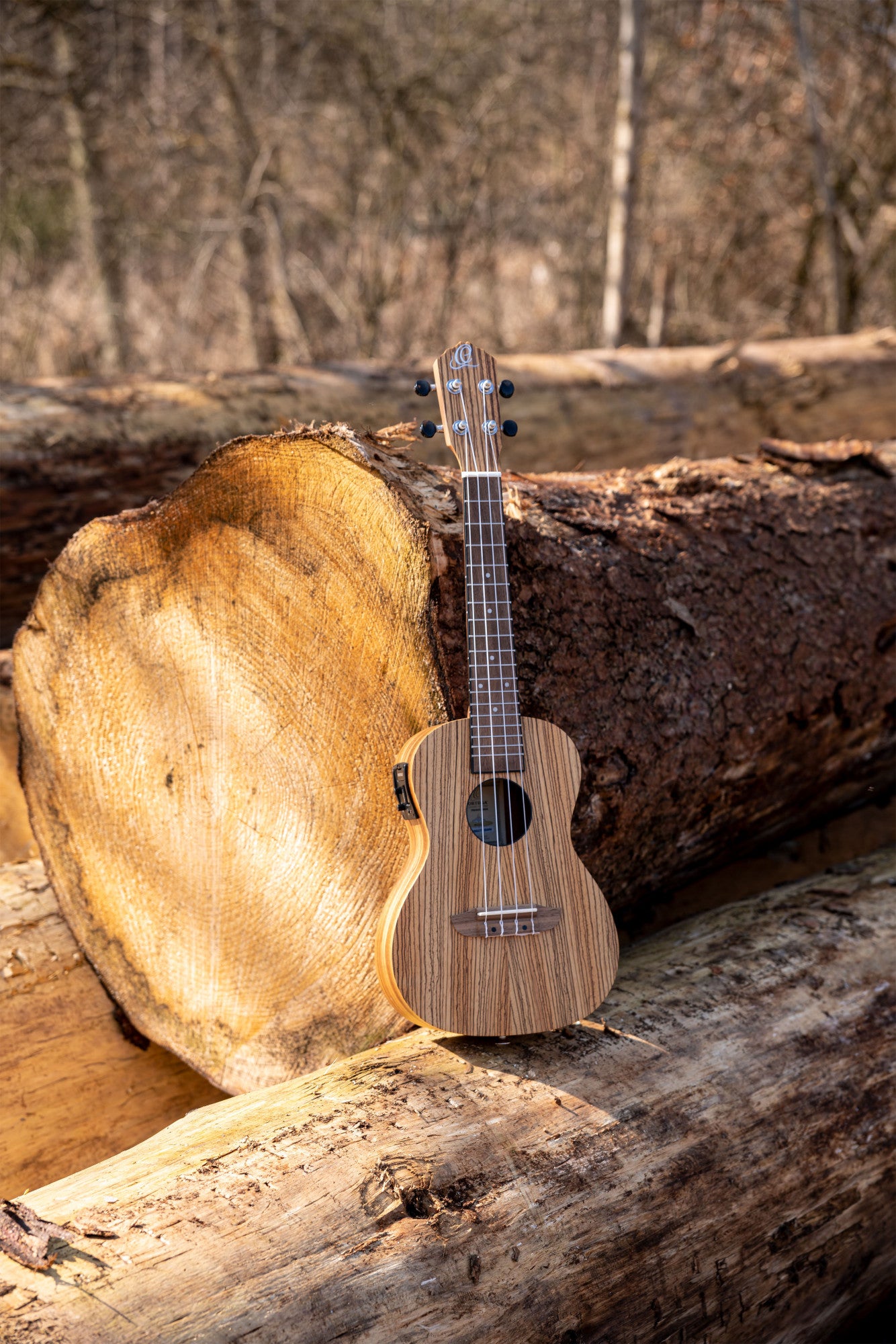 ORTEGA Timber Series Concert Preamp Ukulele 4 String - Zebrawood Natural + Bag