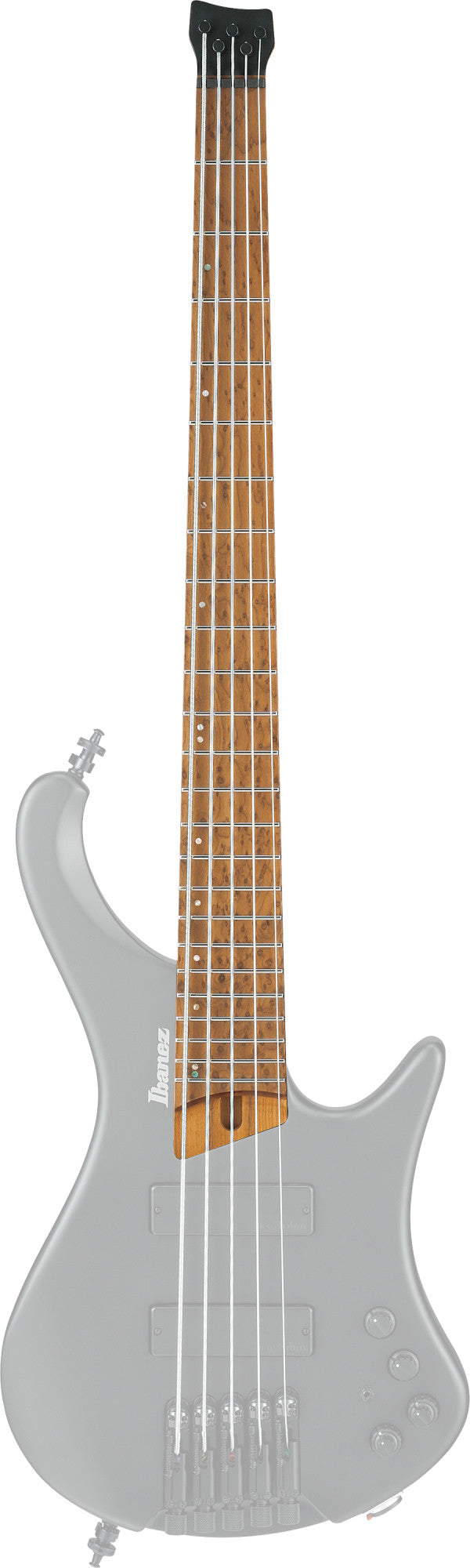 IBANEZ Hals für EHB1005-BKF