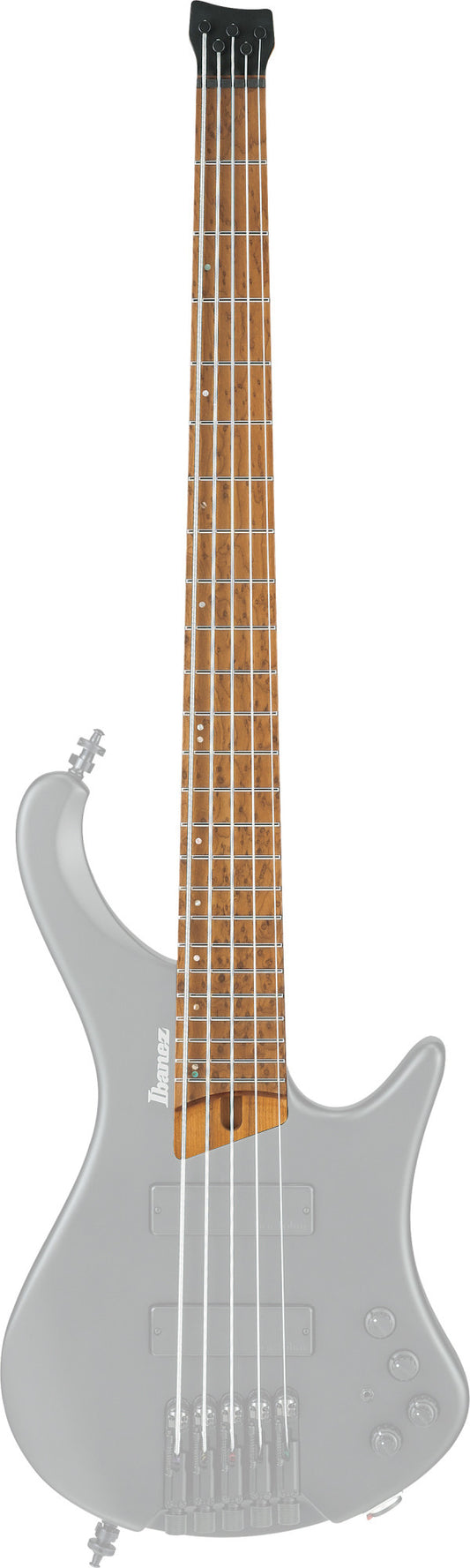 IBANEZ Hals für EHB1005-BKF
