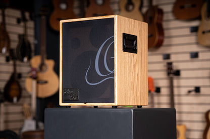 ORTEGA Amplification Series Amplifier Combo