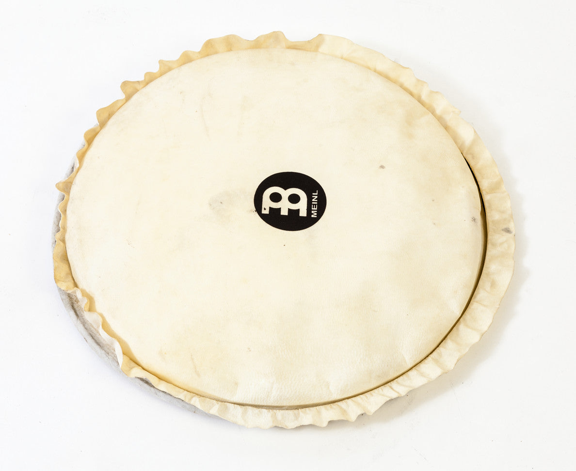 MEINL Percussion Ziegenfell - 14" für Djemben