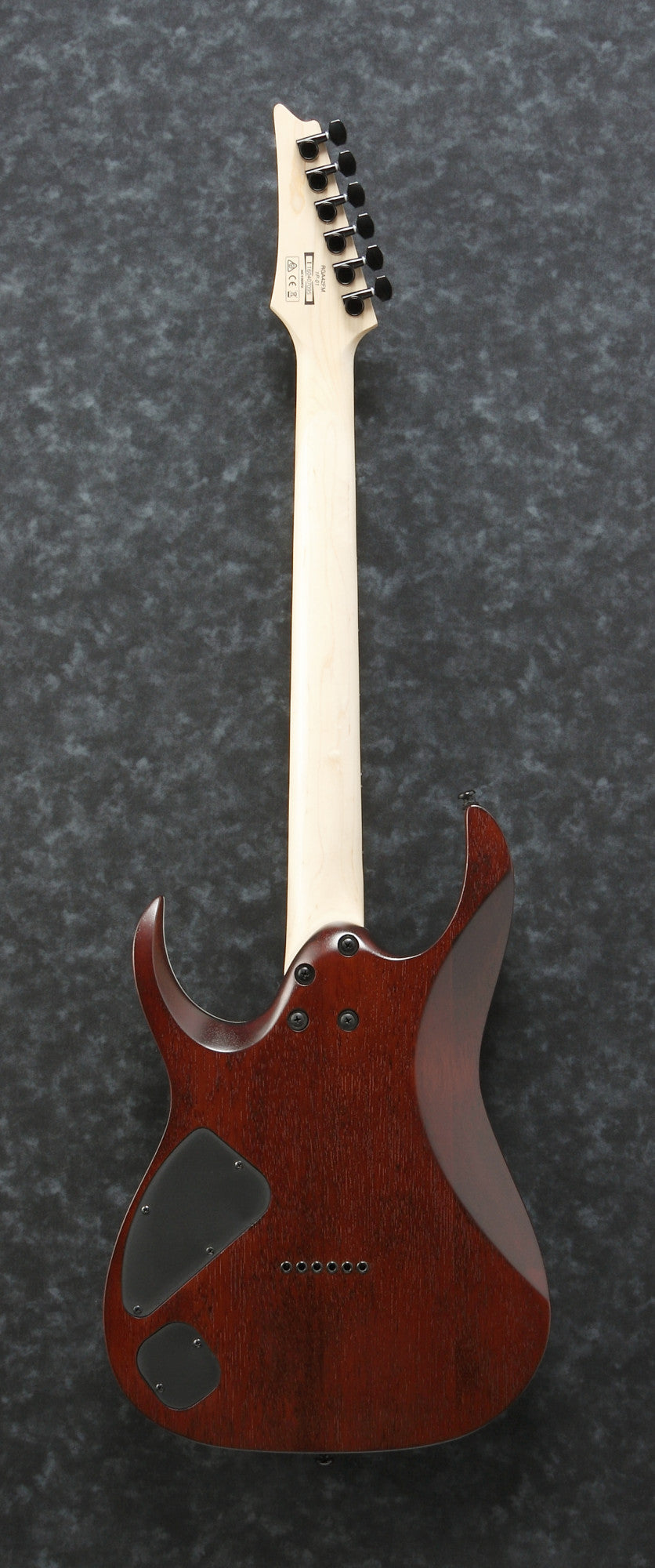 IBANEZ RGA Electric Guitar 6-String - Dragon Eye Burst Flat