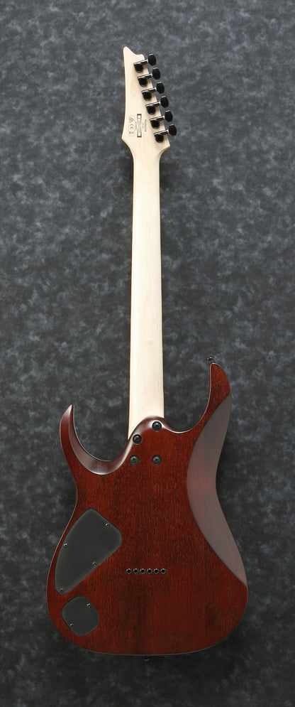 IBANEZ RGA Electric Guitar 6-String - Dragon Eye Burst Flat