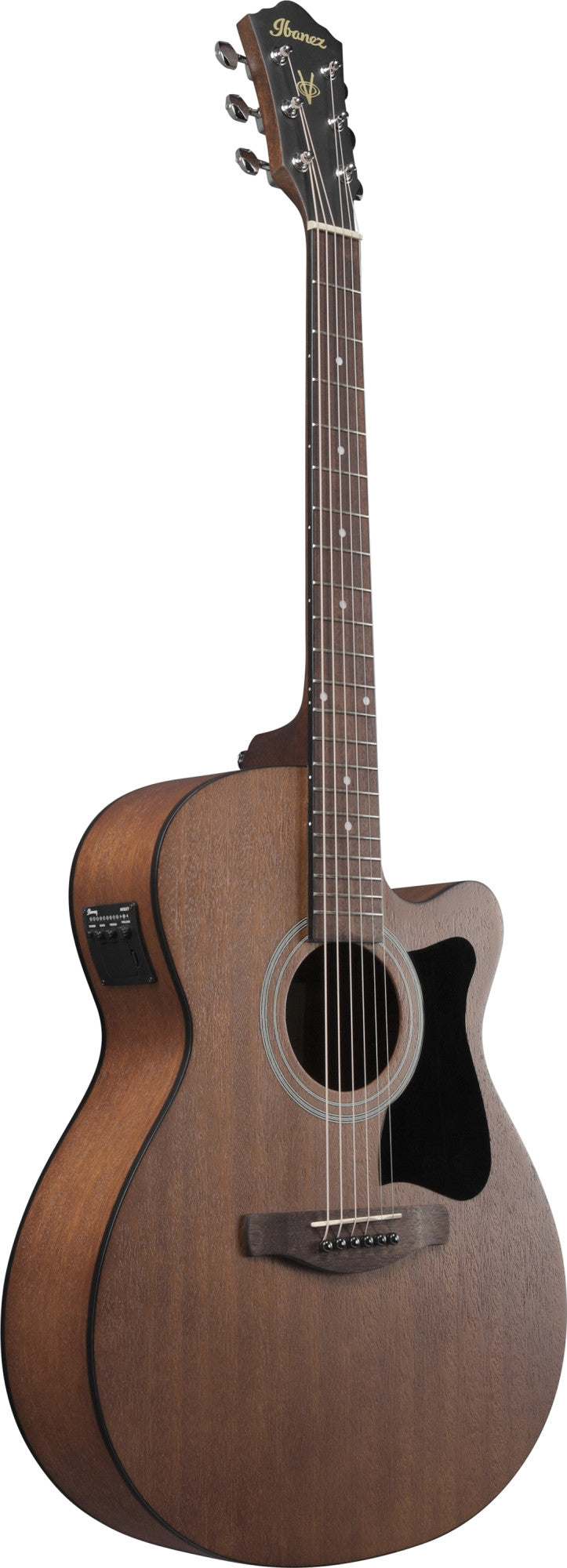 IBANEZ V Acoustic Guitar 6-String - Open Pore Natural