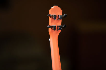 ORTEGA Earth Series Konzert Preamp Ukulele 4 String - Hokkaido Pumpkin Orange