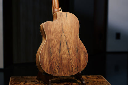 ORTEGA Thomas Zwijsen Signature Konzertgitarre 6-String + Softcase