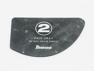 IBANEZ Control Plate - black for PGB2T