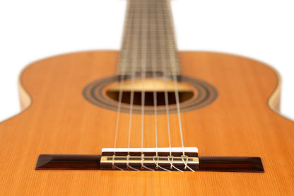 ORTEGA Traditional Series 4/4 Nylon String Guitar 6-String + Pro Gig Bag