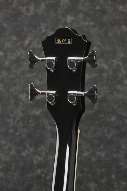 IBANEZ AEB Acoustic Bass 4-String - Black
