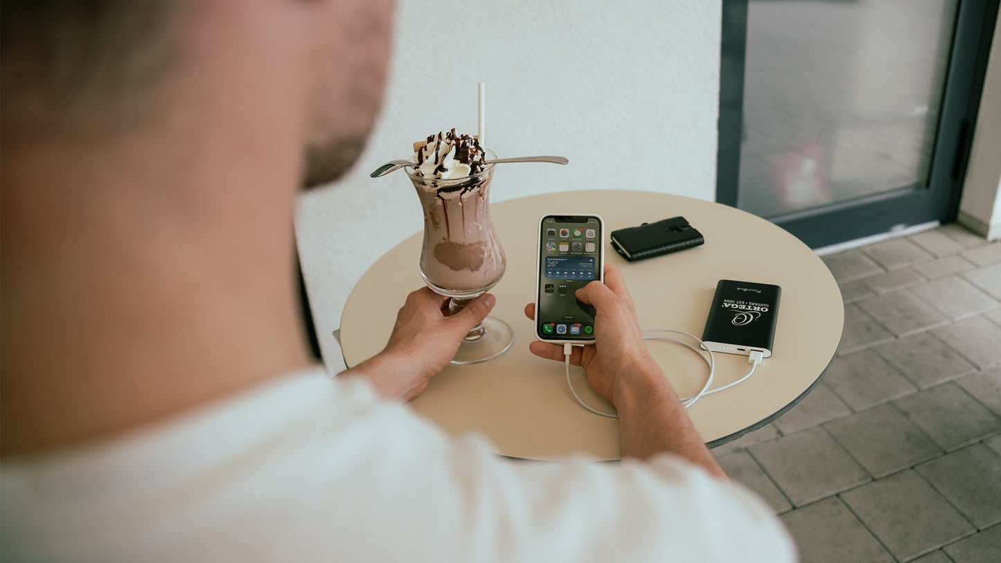 ORTEGA Power Bank - 10000mAh