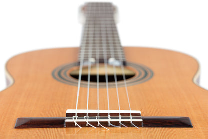 ORTEGA Traditional Series 4/4 Konzertgitarre 6-String + Pro Gigbag
