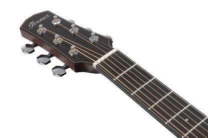 IBANEZ Advanced Acoustic, Platinum Collection 6-Str Natural High Gloss Auditorium Body