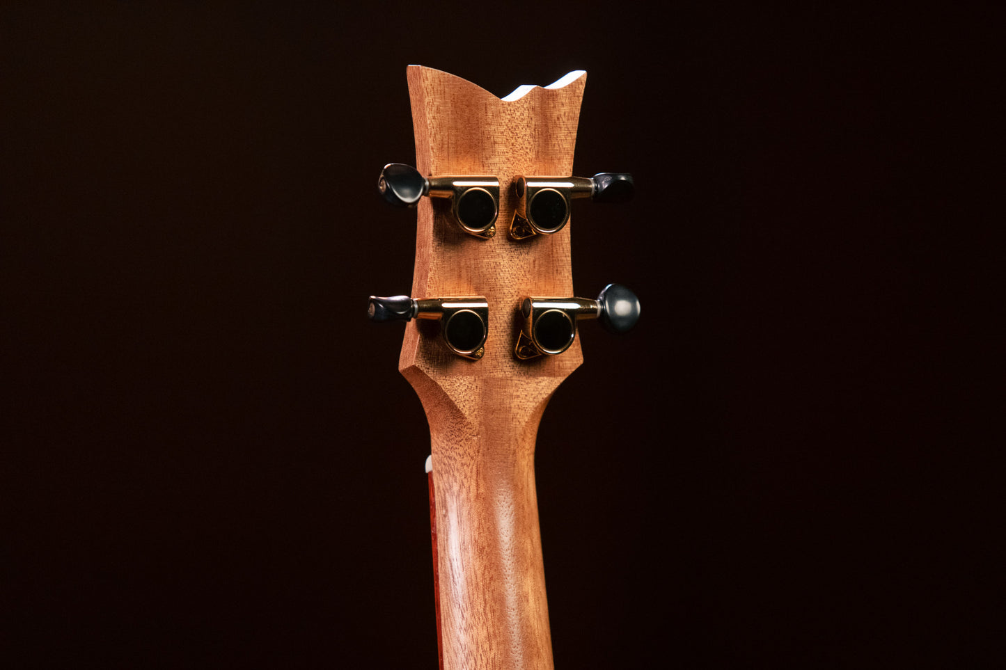 ORTEGA Timber Series Tenor Ukulele 4 String - Acacia Natural + Bag