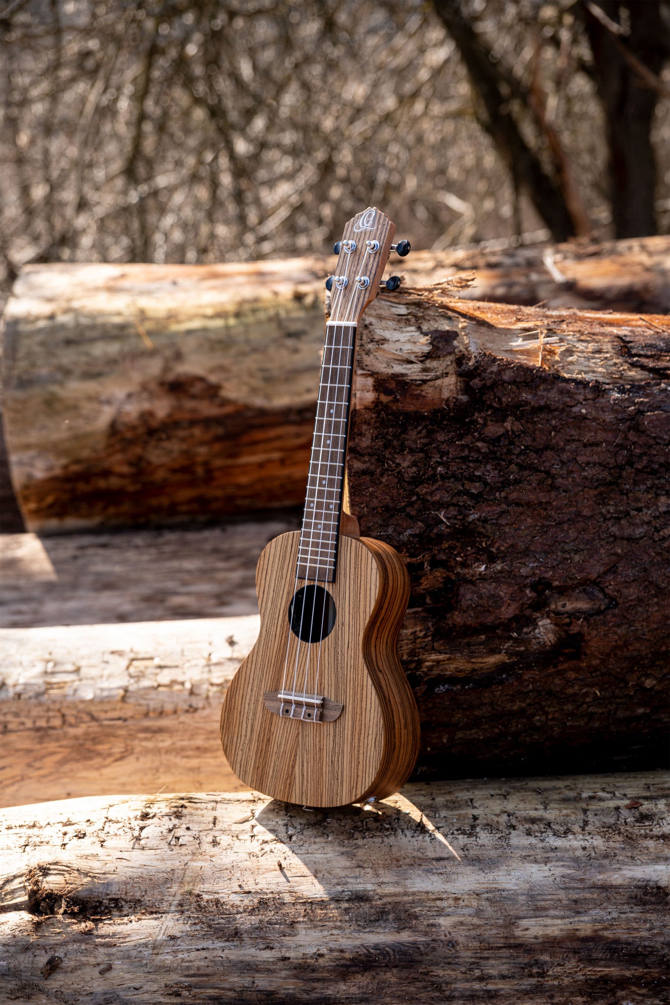 ORTEGA Timber Series Concert Preamp Ukulele 4 String - Zebrawood Natural + Bag