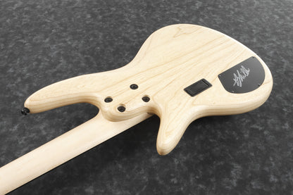 IBANEZ Gary Willis Signature E-Bass 5-String Fretless - Natural Flat + Koffer M20SR