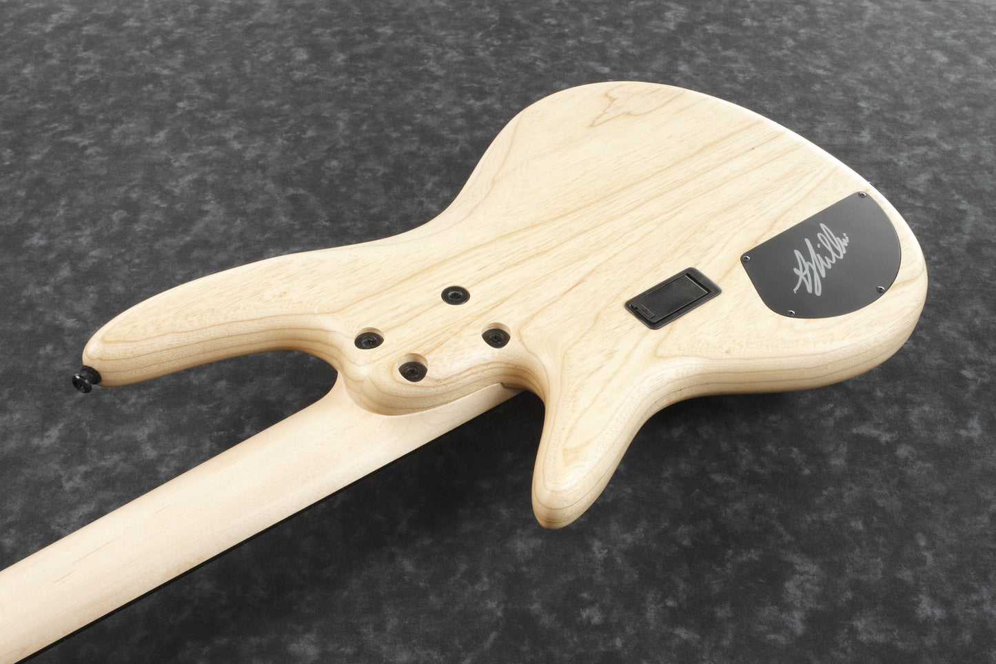 IBANEZ Gary Willis Signature E-Bass 5-String Fretless - Natural Flat + Koffer M20SR