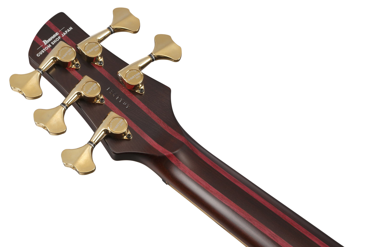 IBANEZ Visions SR Electric Bass 5-String + Case