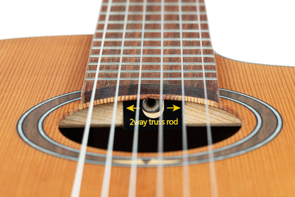 ORTEGA Thermo Series 4/4 Nylon String Guitar 6-String + Pro Gigbag